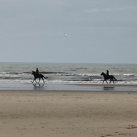 Gite Dans Le Pre Hesdin L'Abbe Carly Exteriér fotografie