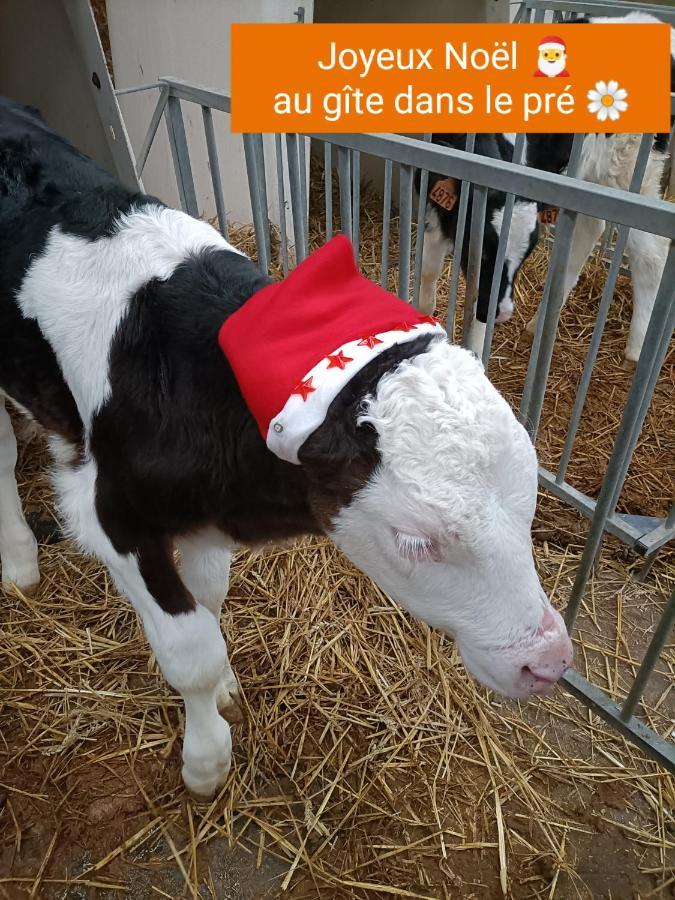 Gite Dans Le Pre Hesdin L'Abbe Carly Exteriér fotografie