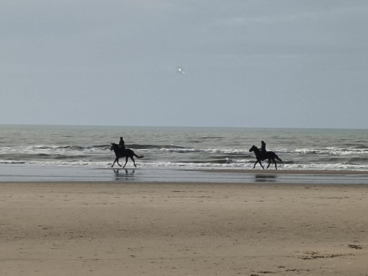 Gite Dans Le Pre Hesdin L'Abbe Carly Exteriér fotografie